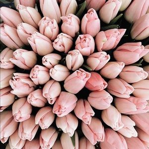 Meet your Posher, Yvette